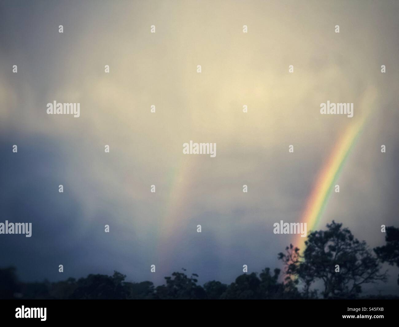 Doppi arcobaleni sopra gli alberi visti attraverso la finestra di vetro in un giorno di pioggia. Foto Stock
