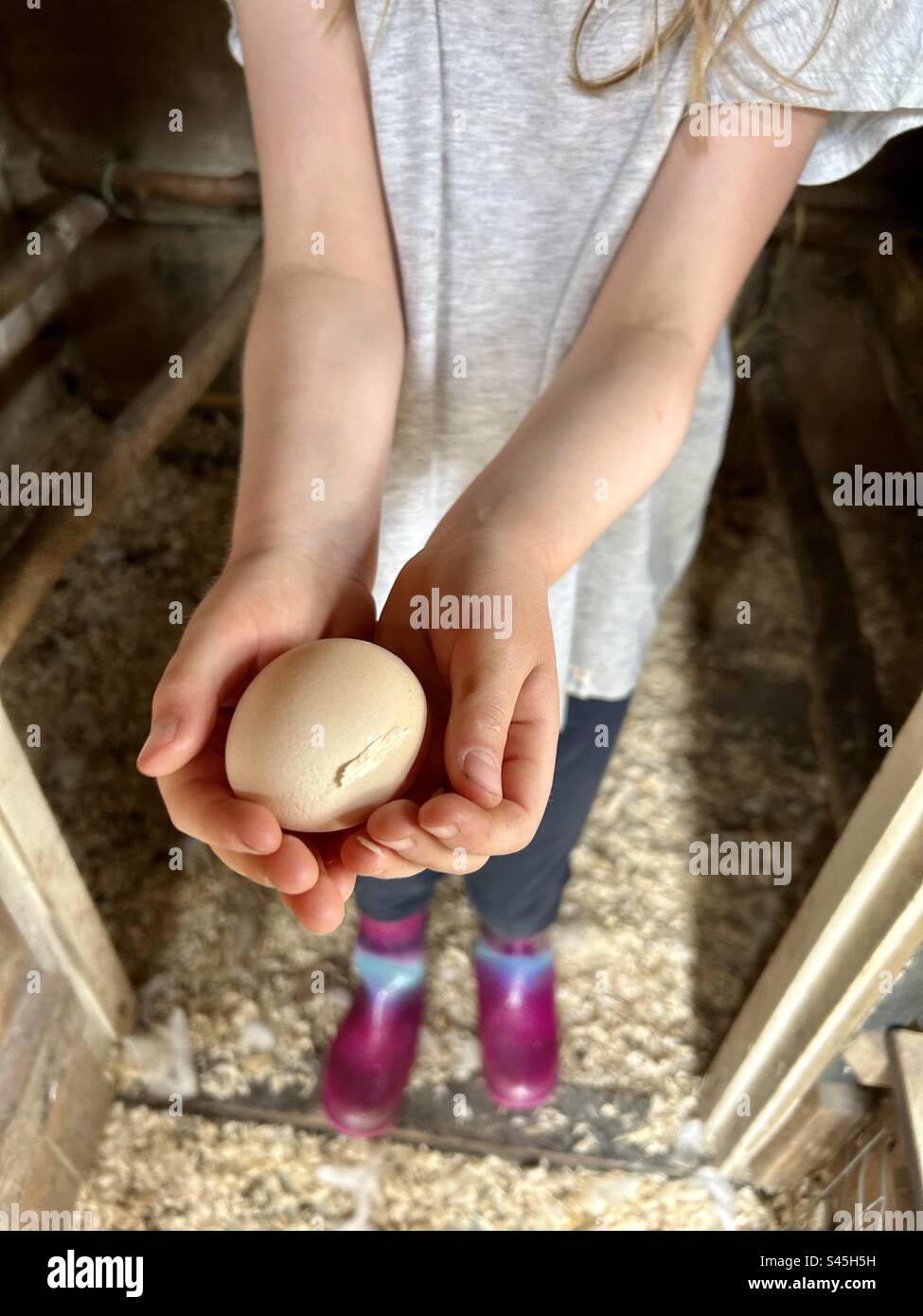 Ragazza che tiene un uovo tra le mani da vicino, che indossa polli in piedi in un pollaio Foto Stock