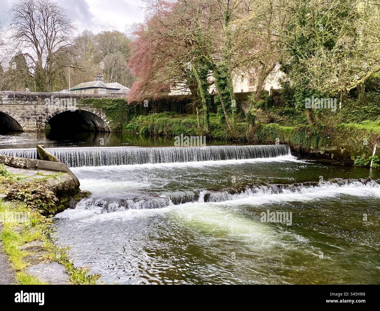 Il fiume Tavy scorre sotto il ponte a Tavistock nel Devon in primavera Foto Stock