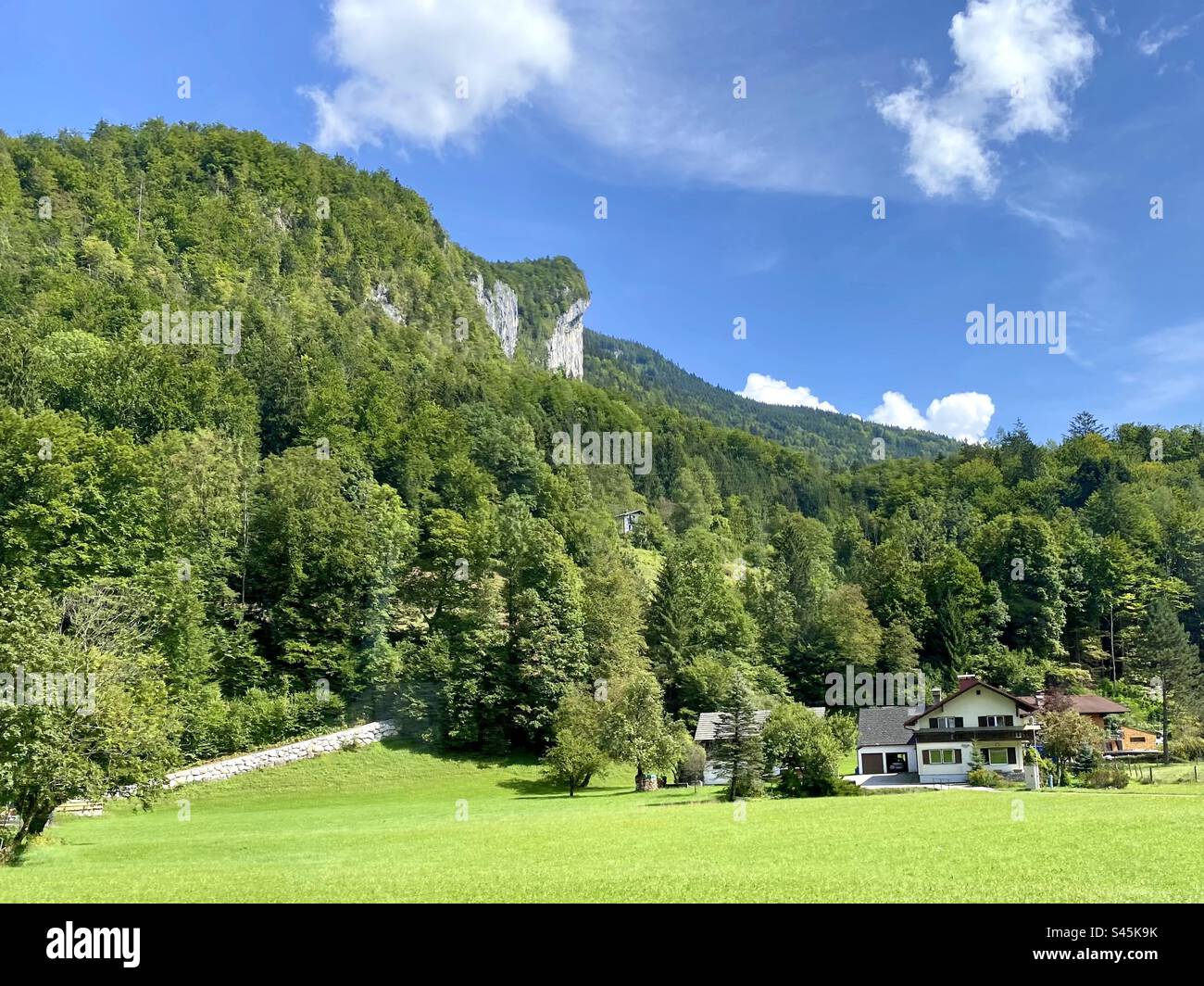 La splendida campagna alpina nei pressi di Bad Goisern in Austria in estate Foto Stock