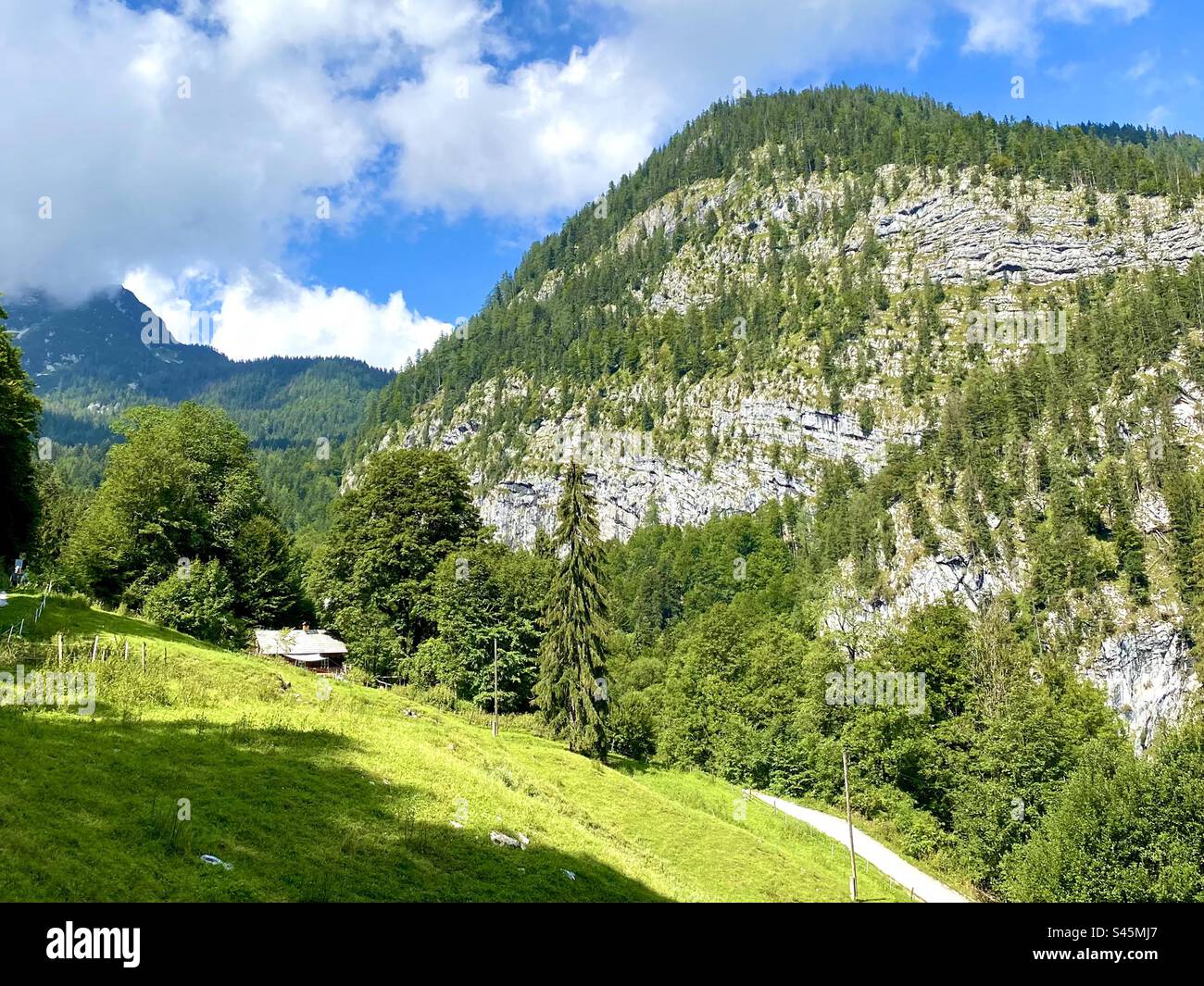 Le montagne e gli alberi vicino a Hallstatt in Austria in estate Foto Stock