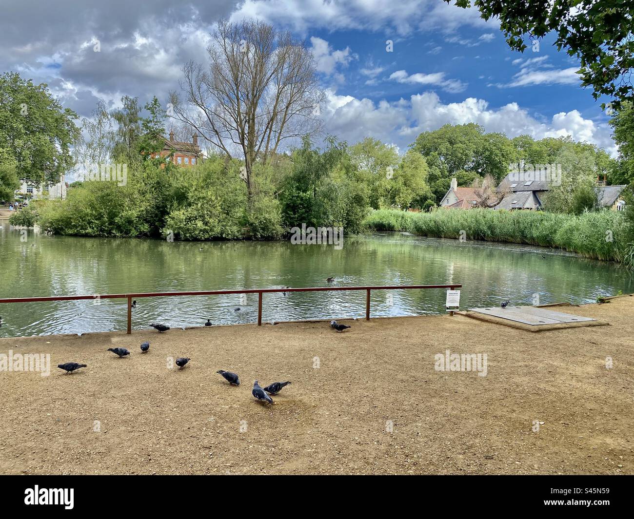 Giorno d'estate a Barnes, Londra Foto Stock