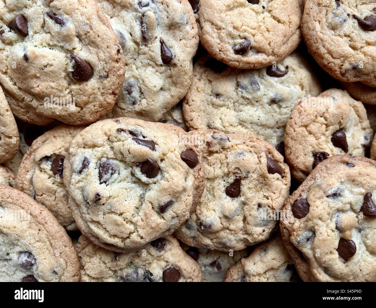 Una cornice completa di biscotti con gocce di cioccolato Foto Stock