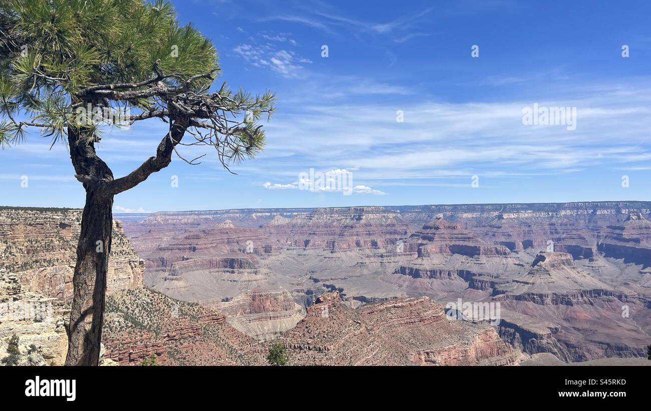 Grand Canyon Arizona South Rim Foto Stock