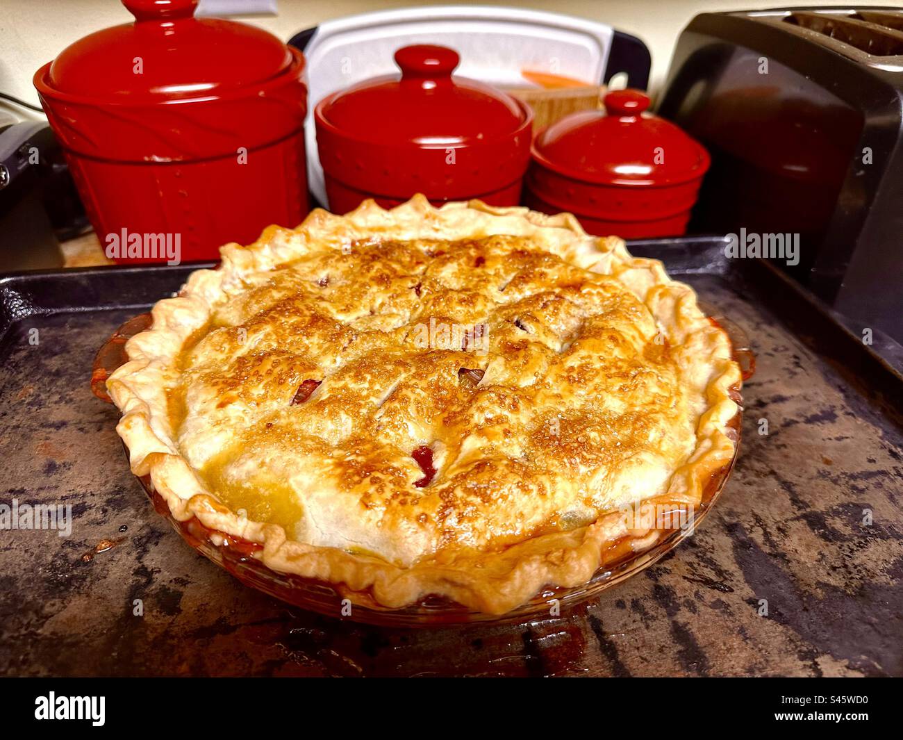 La mia prima torta di fragole al rabarbaro!!! Super delizioso!! Foto Stock