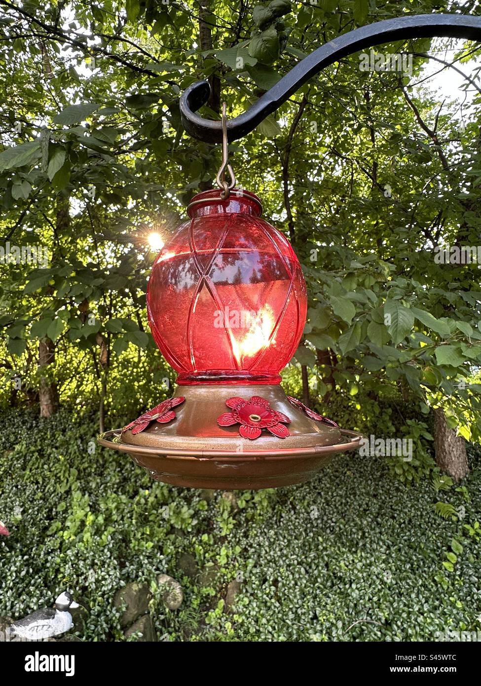 Alimentatore di colibrì in vetro rosso nel cortile posteriore Foto Stock