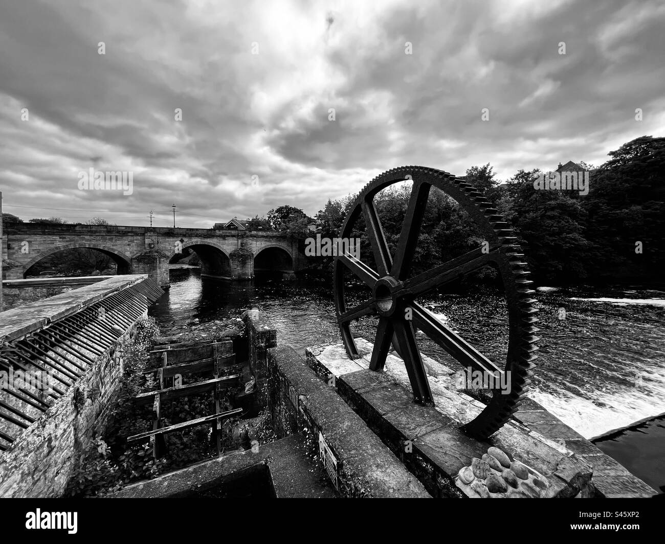 Wharfe a Wetherby Foto Stock