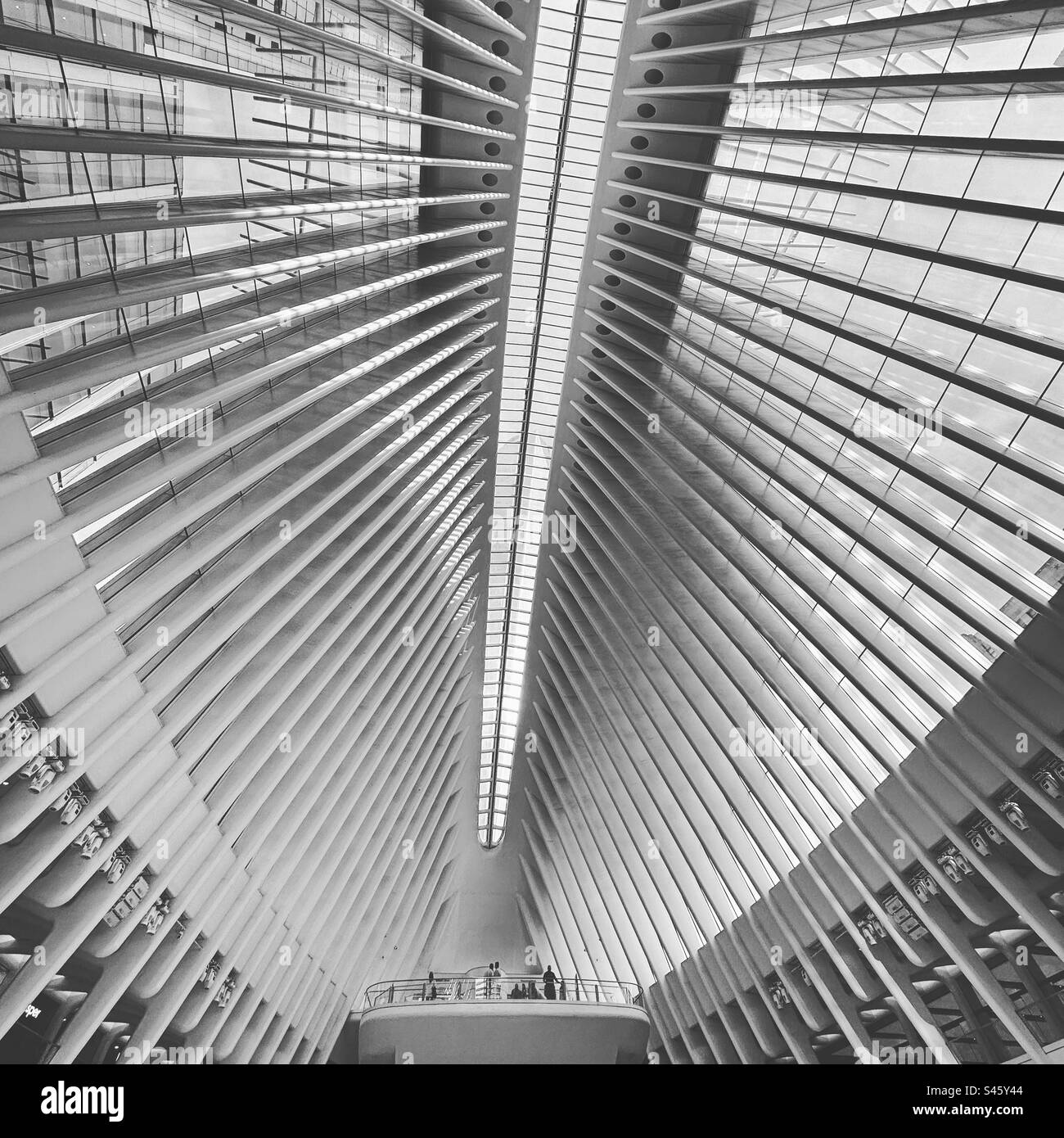 L'hub dei trasporti Oculus, Manhattan, New York, New York, Stati Uniti Foto Stock