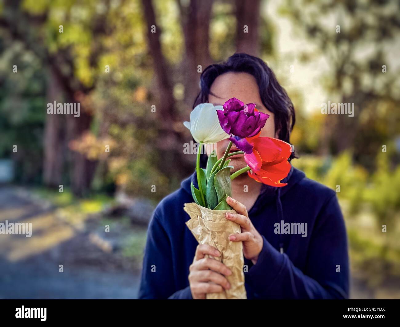 Ritratto di un giovane che tiene tre tulipani multicolori contro gli alberi e tramonta il sole. Faccia oscurata. Concentrati sul primo piano. Retroilluminazione. Tema primaverile. - Immagine stock catturata con smartphone