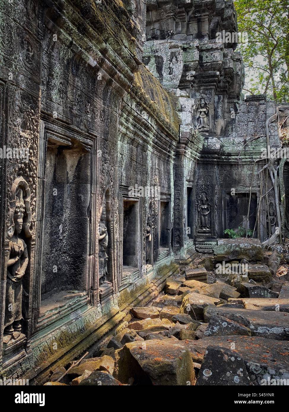 Antiche rovine del tempio di Ta Prohm ad Angkor Thom, Siem Reap, Cambogia Foto Stock