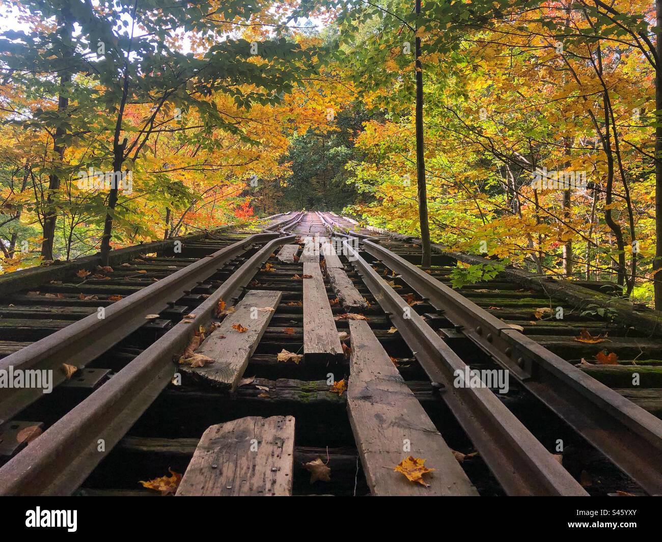 Binari ferroviari in autunno Foto Stock