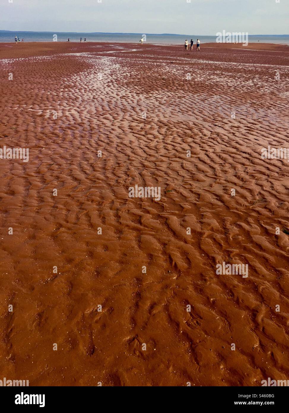 La marea è finita. Terreno bagnato. Superfici piane fangose. Increspature. A perdita d'occhio. Annapolis Valley, nuova Scozia, Canada. Un paio di persone. Quasi deserta. - Immagine stock catturata con smartphone