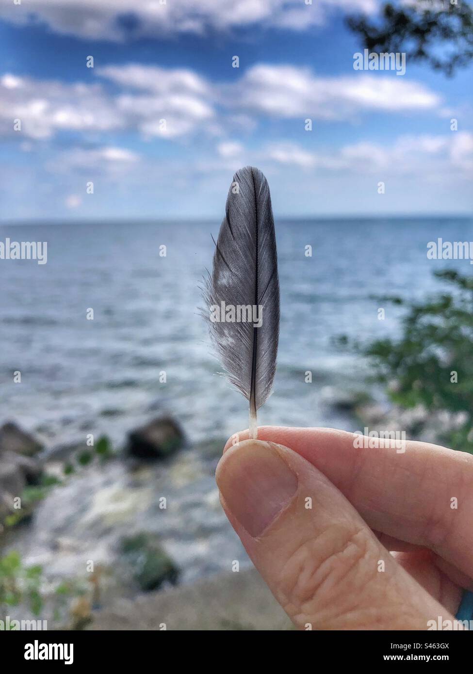 Una donna che tiene una piccola piuma vicino all'acqua. Foto Stock