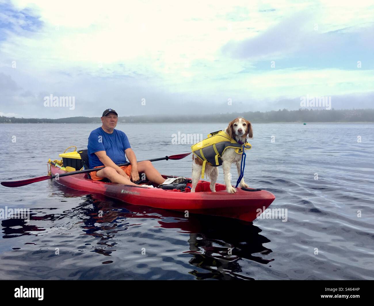 Un uomo e il suo cane si rilassano in kayak in mare aperto, nuova Scozia, Canada. Il cane indossa un giubbotto salvagente. - Immagine stock catturata con smartphone