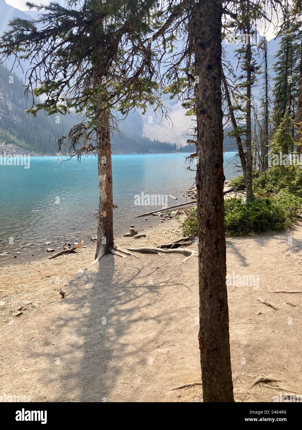 Escursioni lungo la costa del lago Moraine, British Columbia, Canada. Foto Stock