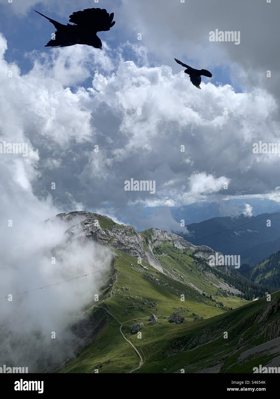 Uccelli neri che volano sopra il monte PILATUS Svizzera Foto Stock