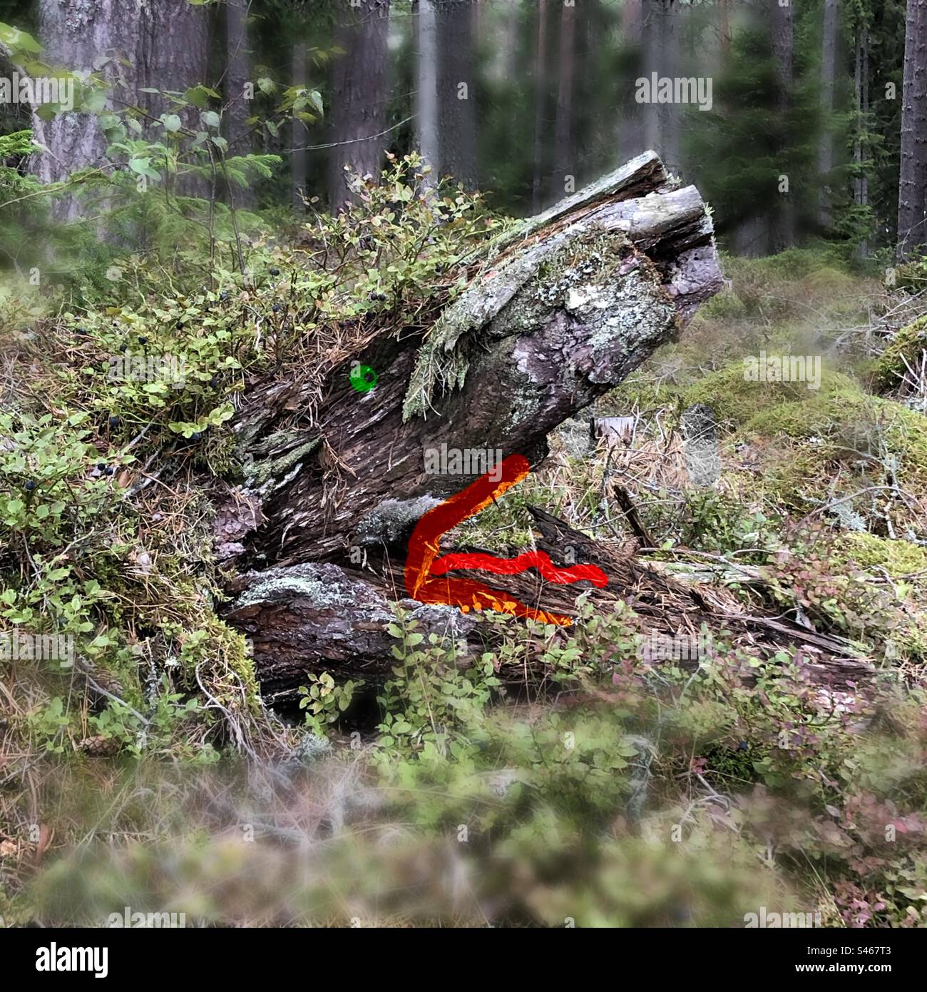 Un troll della foresta strisciò fuori dal terreno. Foto Stock
