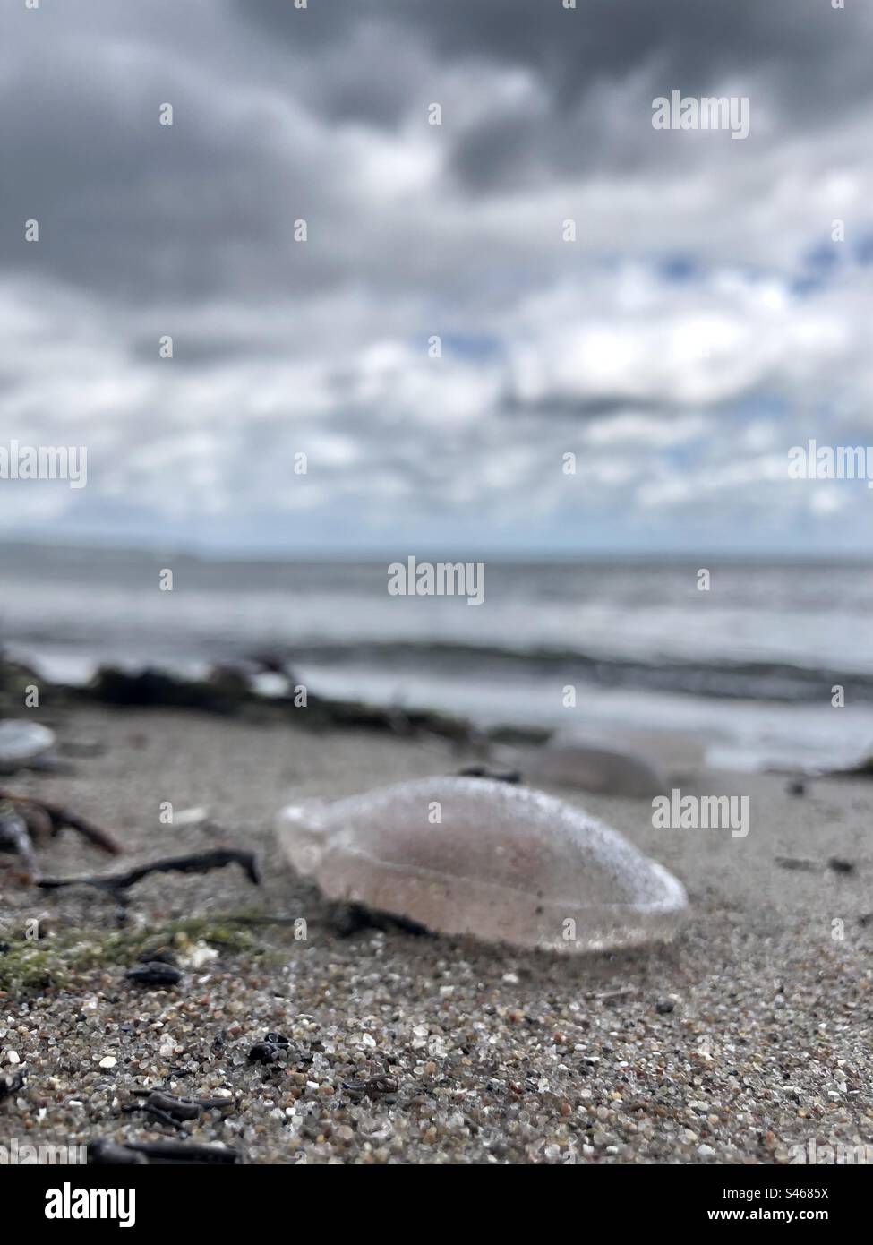 Ein Tag am Meer Foto Stock