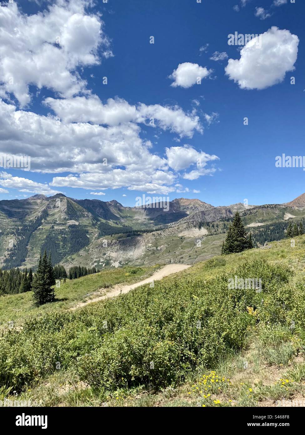 Sentiero escursionistico Crested Butte, Colorado - Immagine stock catturata con smartphone