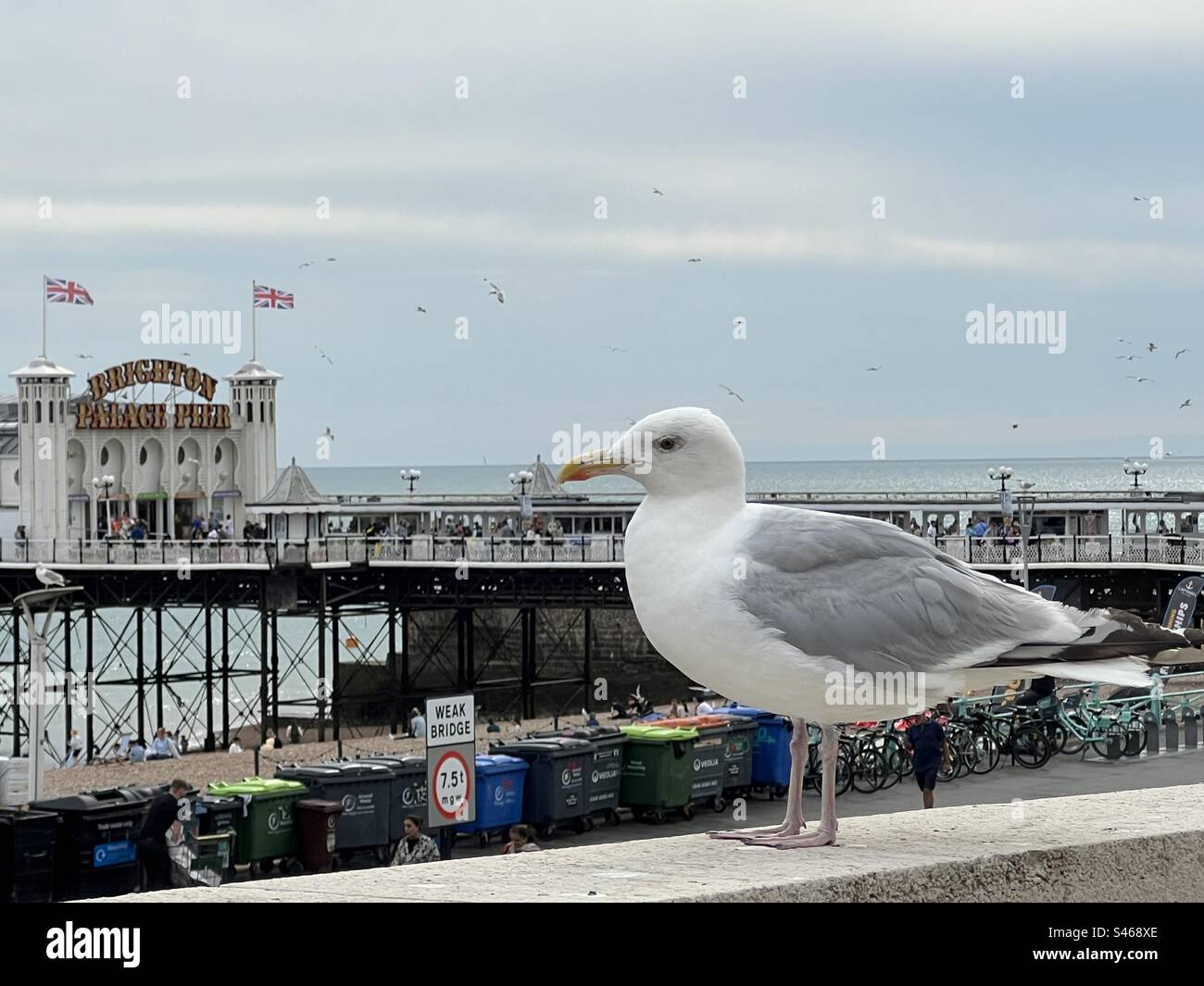 Un simbolo di Brighton Foto Stock