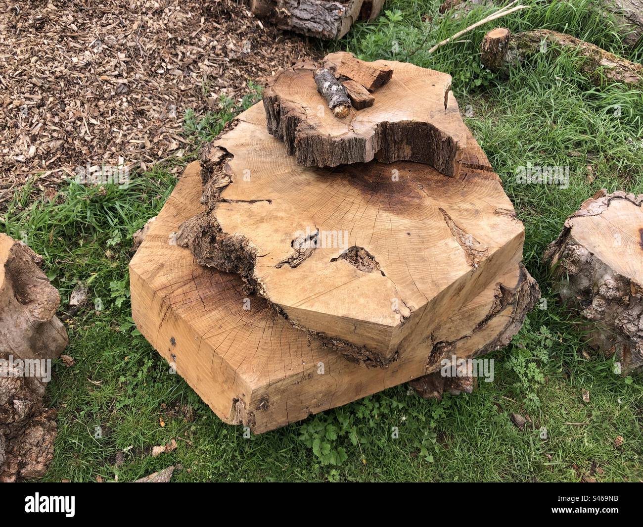 Ho impilato i tronchi di legno - Immagine stock catturata con smartphone