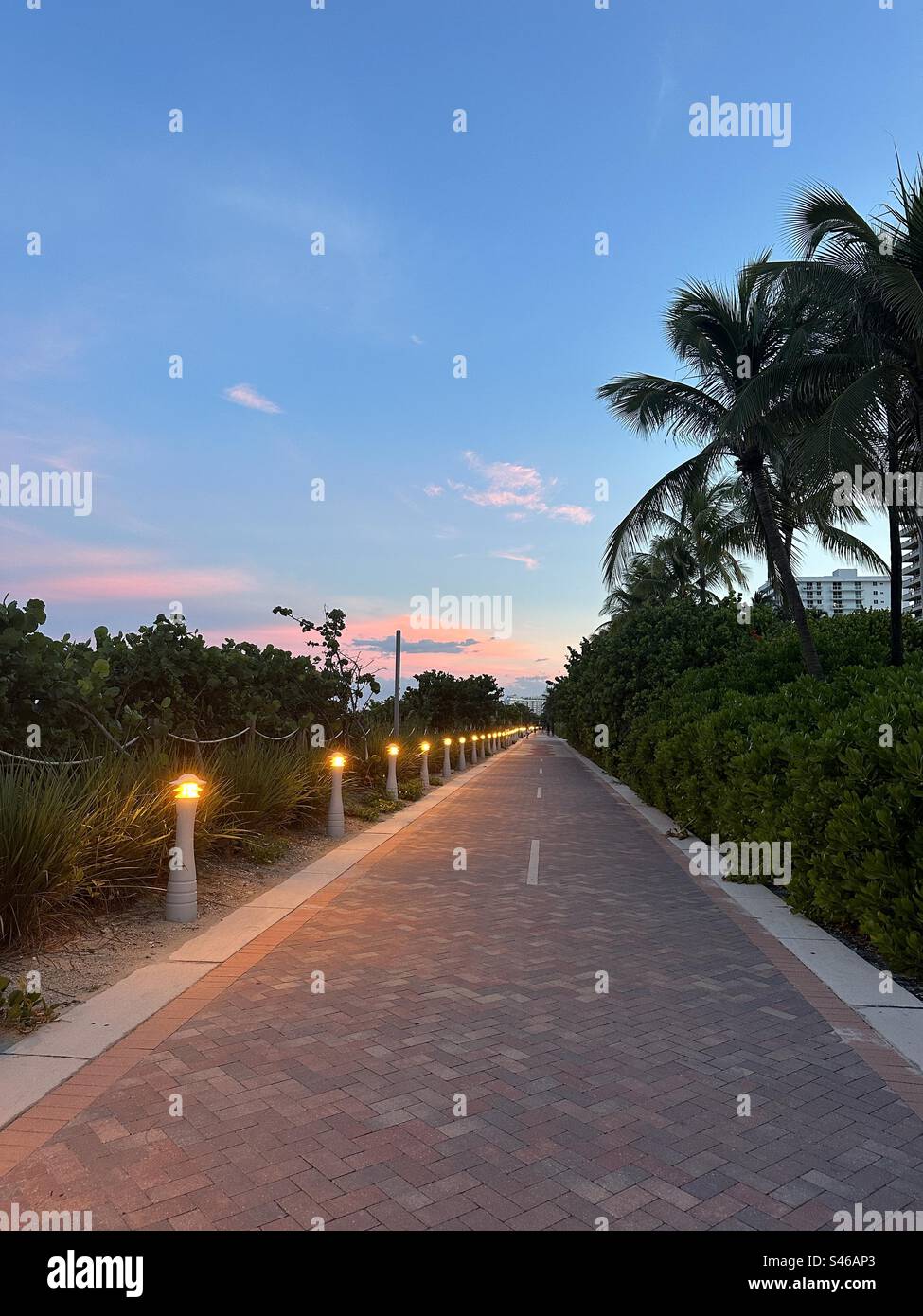 Sentiero illuminato con soffici cieli rosa al tramonto a Miami Beach, Florida Foto Stock