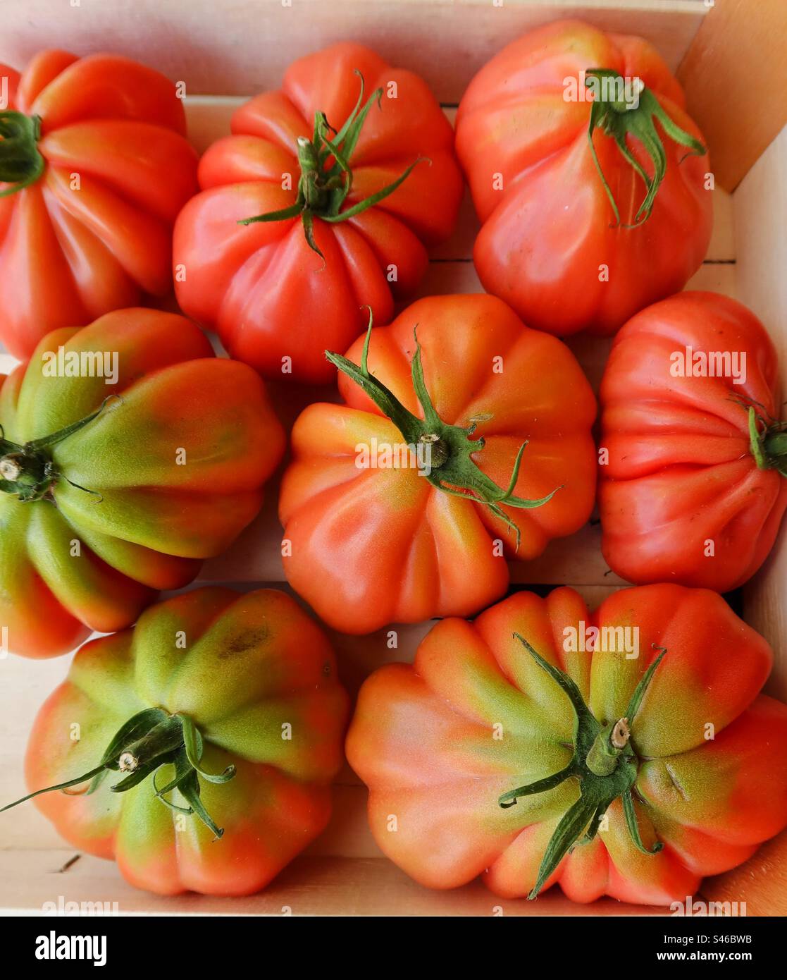 Primi piani sui pomodori freschi - Immagine stock catturata con smartphone