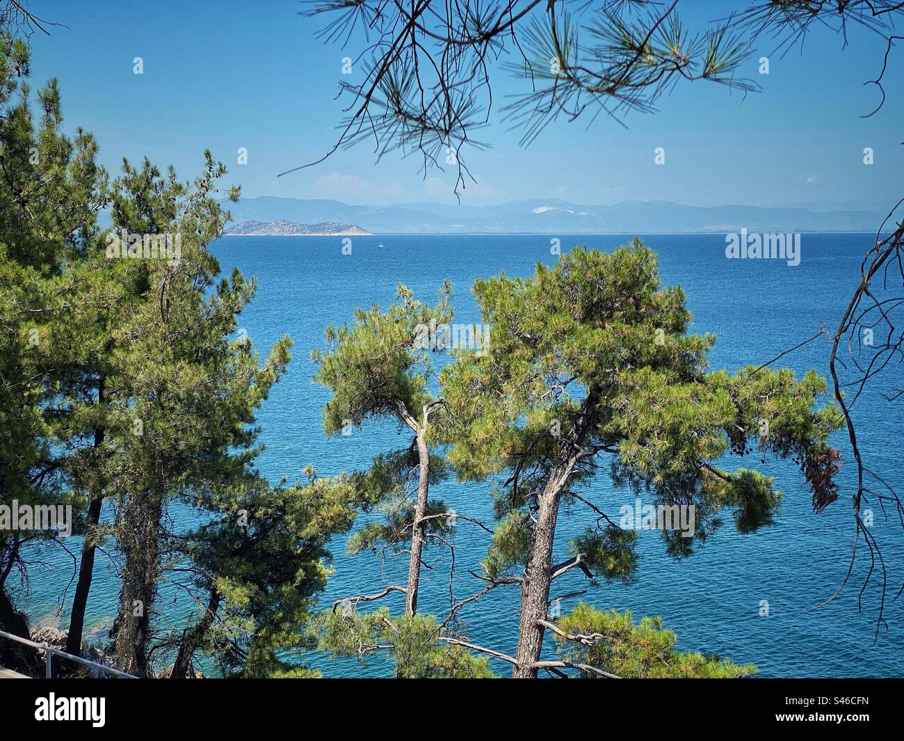 Vista sul mare con pini e montagne lontane sull'isola di Thassos in Grecia. Foto Stock