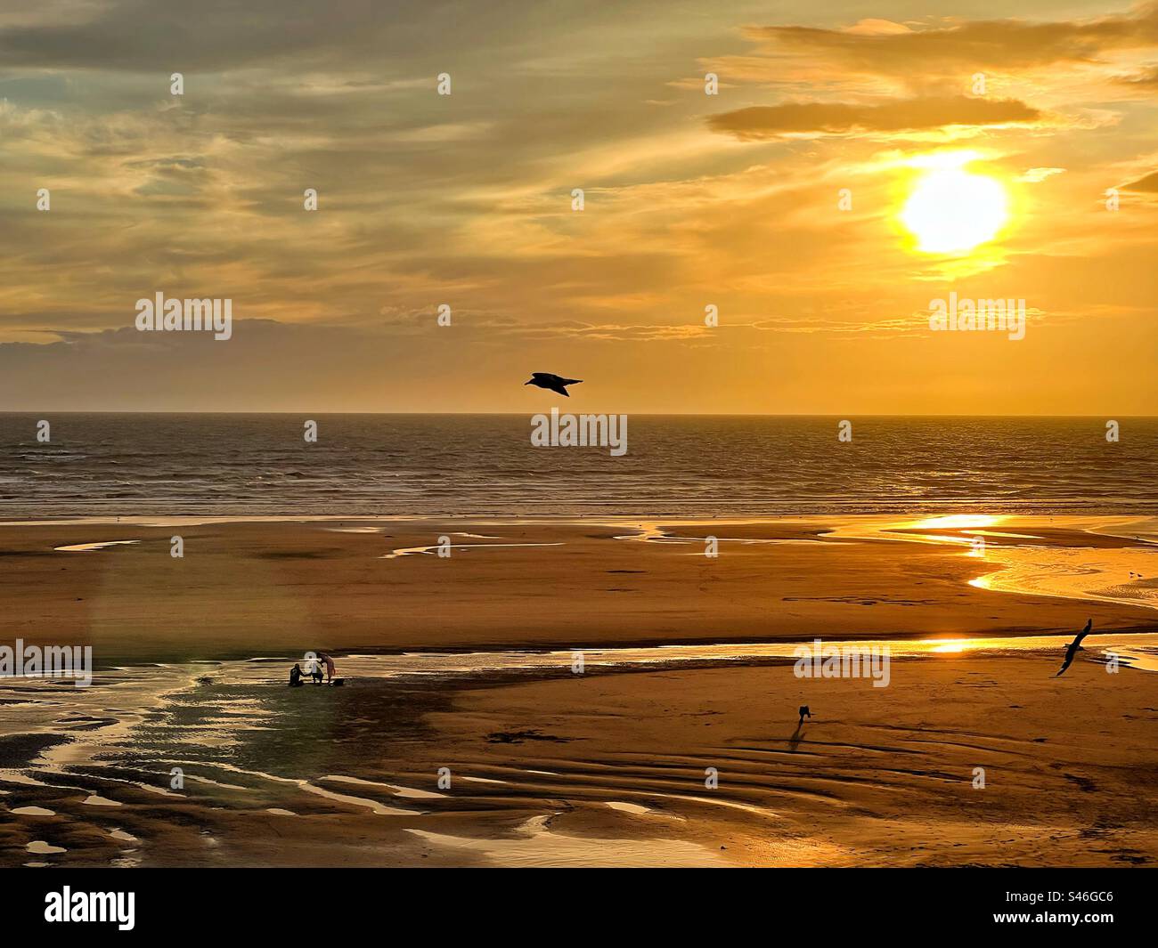Tramonto in tarda serata sulla spiaggia nord di Blackpool durante la bassa marea con gabbiani e una famiglia di tre persone che giocano Foto Stock