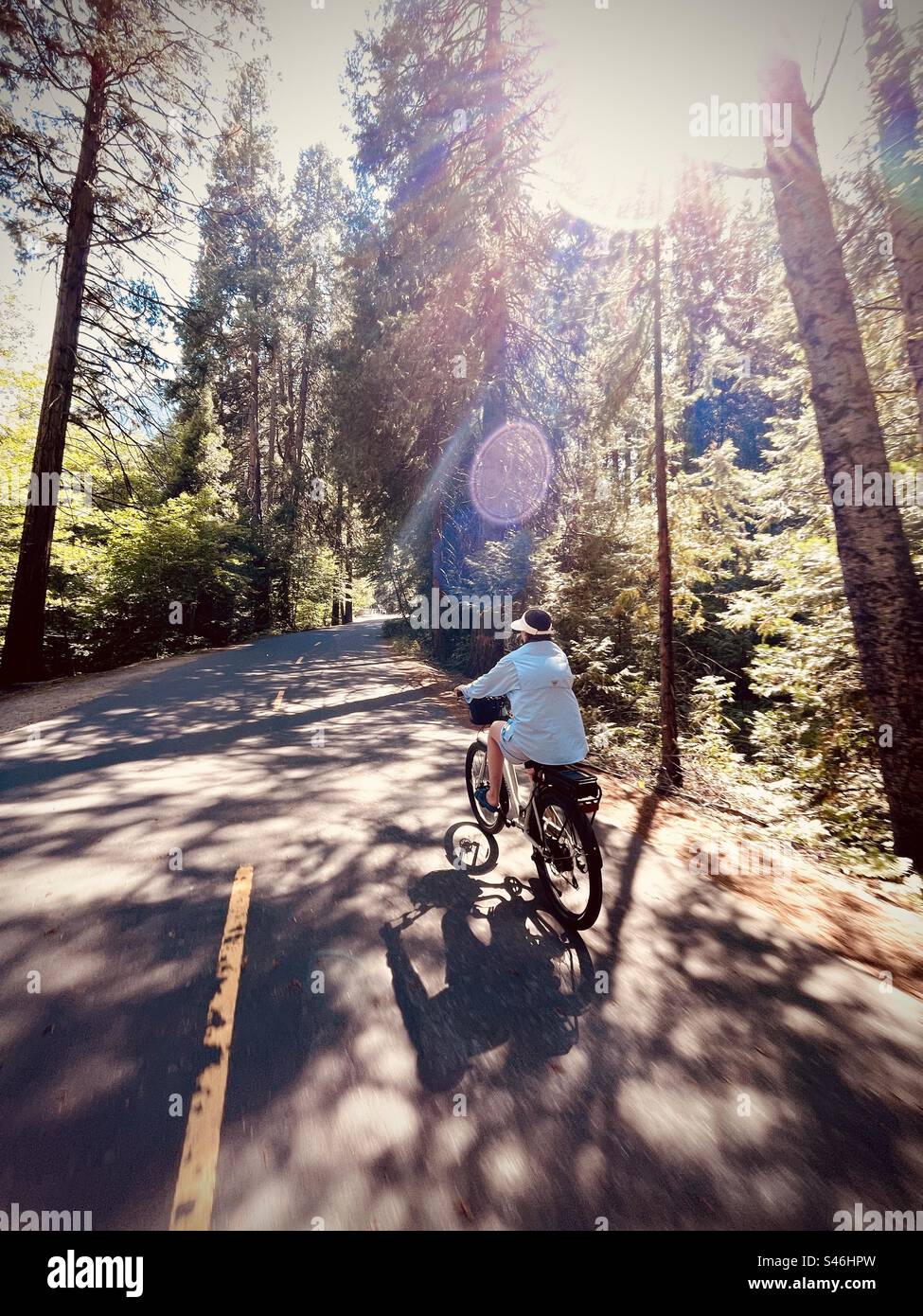 Una donna cavalca la sua bicicletta attraverso le foreste della Yosemite Valley. Yosemite National Park, California USA. Foto Stock