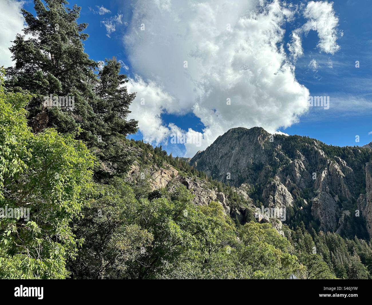 Big Cottonwood Canyon, vicino a Salt Lake City, Utah. Foto Stock