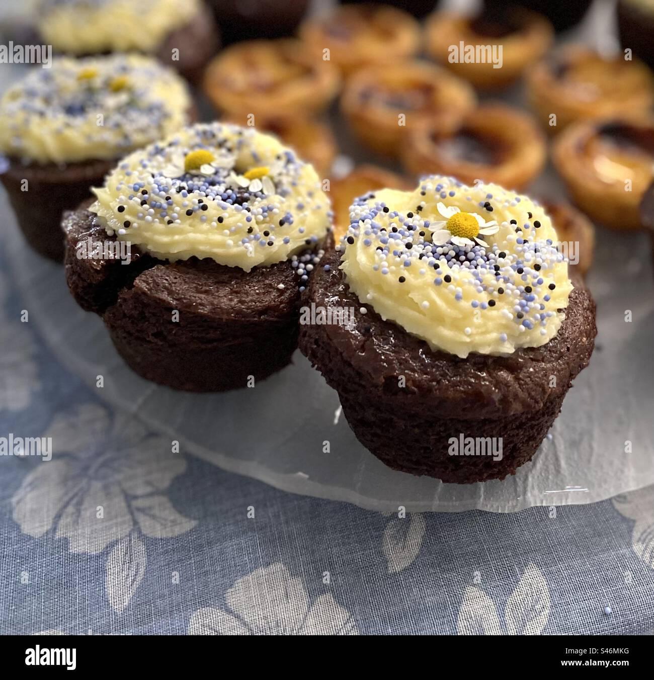 Cupcake con margherite e cosparse di zucchero viola. Lisbona, Portogallo, 2023. Foto Stock