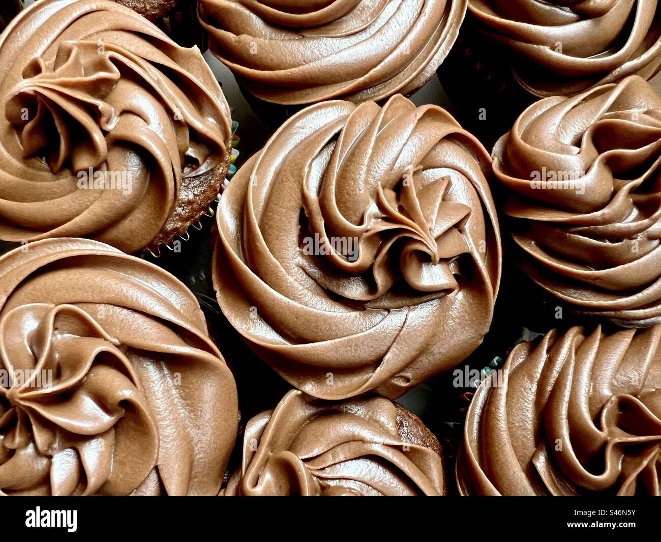 Tortini di cioccolato Foto Stock