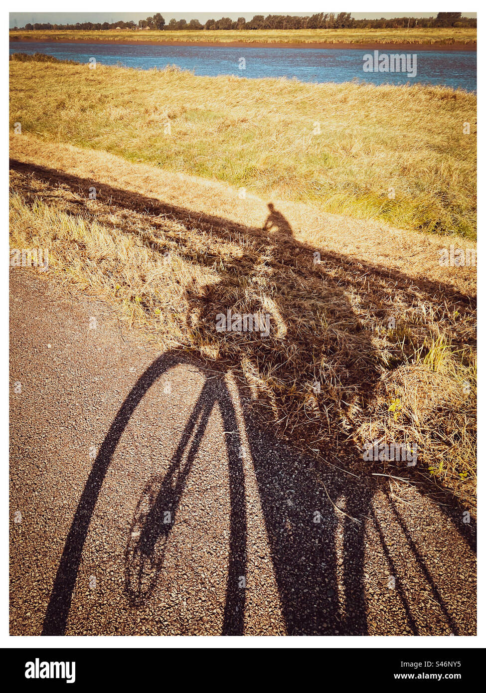 Lunga ombra di un ciclista al mattino presto nell'East Anglia nel Regno Unito - Immagine stock catturata con smartphone