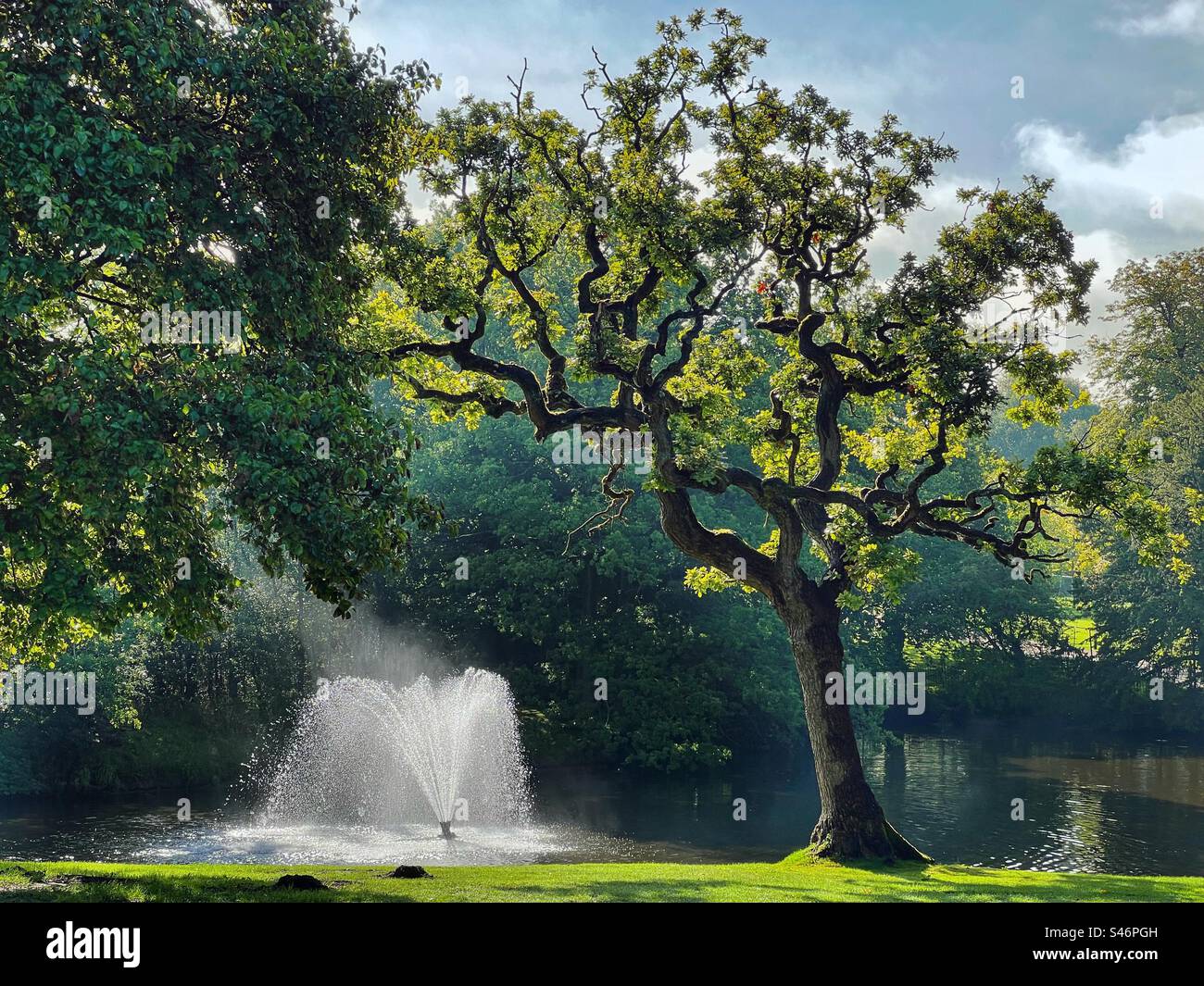 Fontana retroilluminata dal sole all'Astley Park di Chorley, Lancashire Foto Stock
