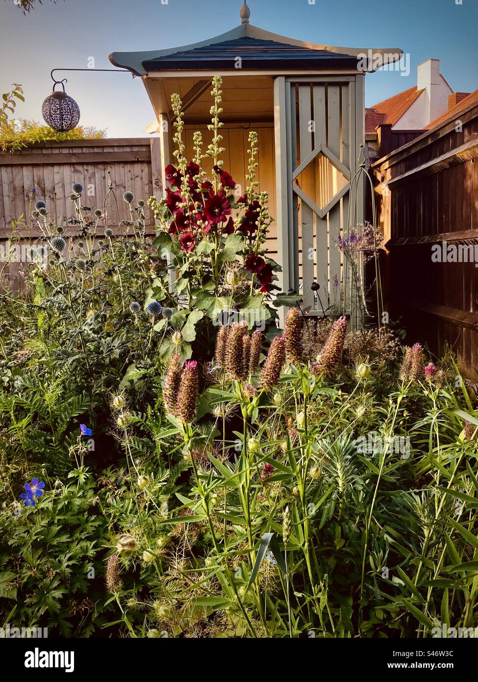 Giardino inglese chiaro serale Foto Stock