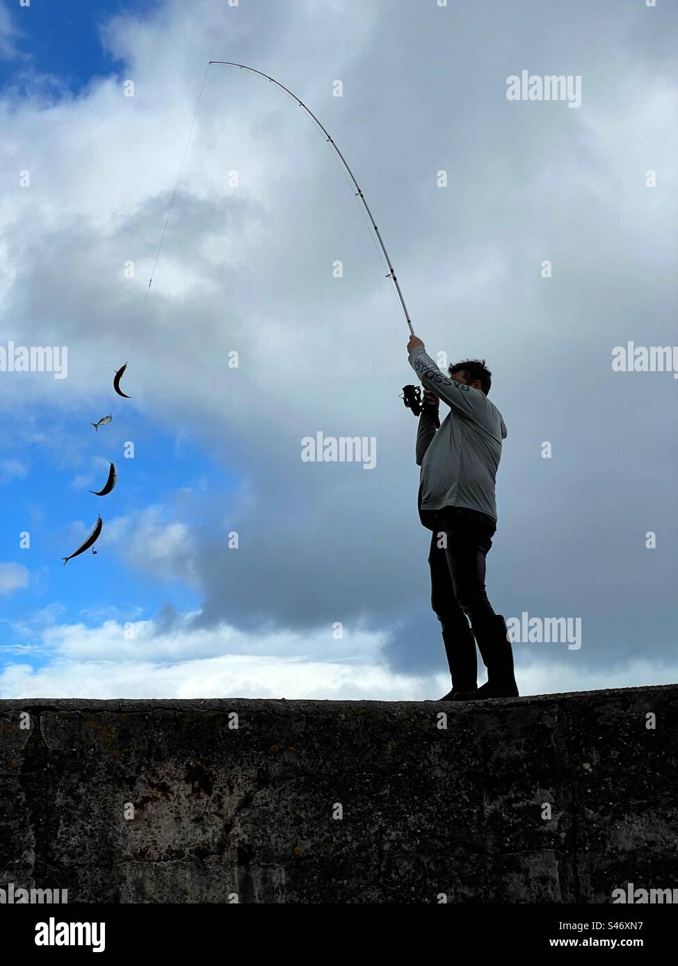 Un uomo che cattura una fila di sgombro da un muro del porto con le piume. Foto Stock