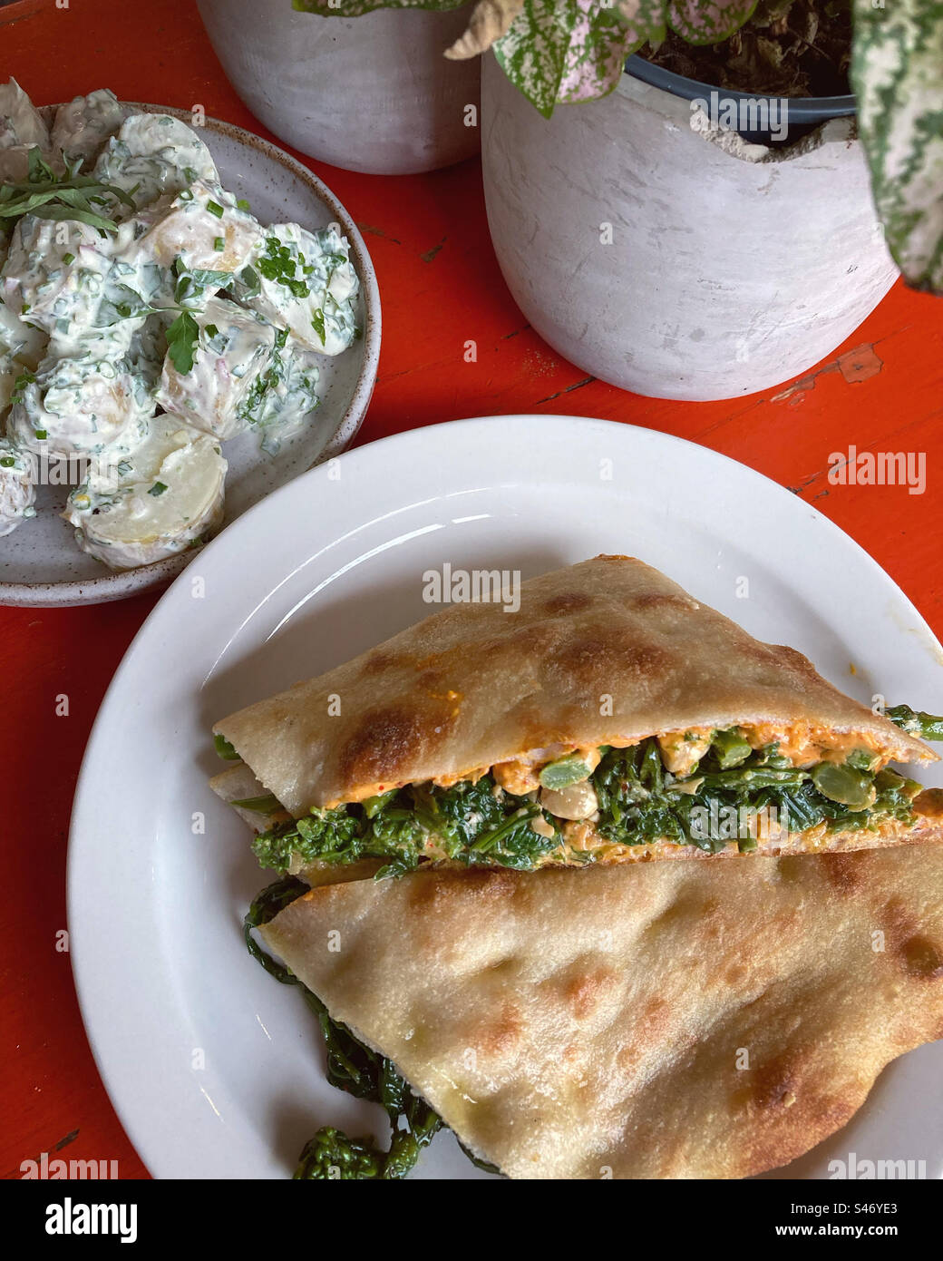 Panino con ciabatta ripieno di broccoli, aioli piccanti e nocciole servito con insalata di patate - Immagine stock catturata con smartphone