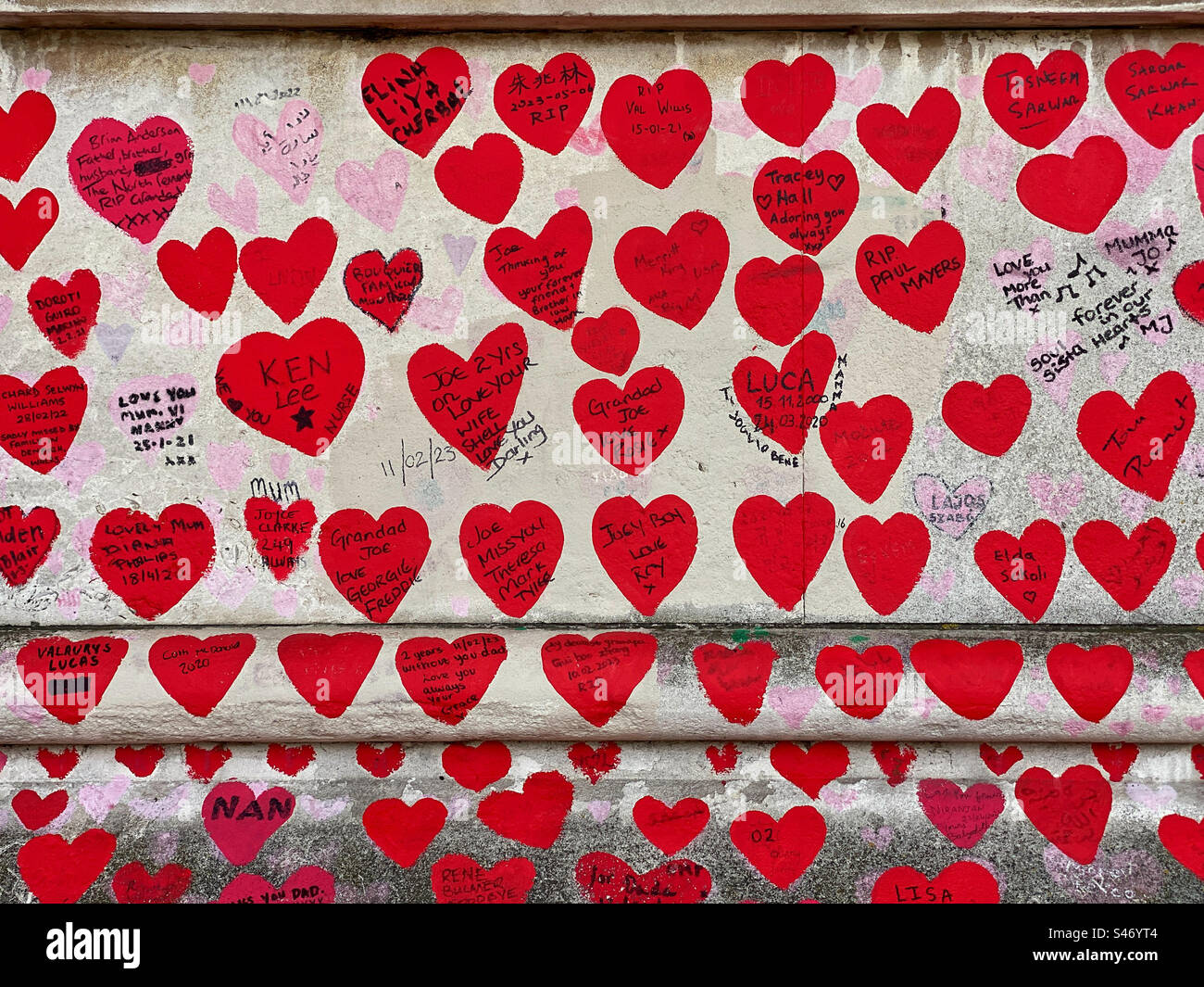 Una piccola sezione del National Covid Memorial Wall del Regno Unito. Un cuore rappresenta una persona che è morta a causa del virus Covid-19. I sopravvissuti hanno scritto i nomi dei loro cari che sono morti. ©️ Foto Stock