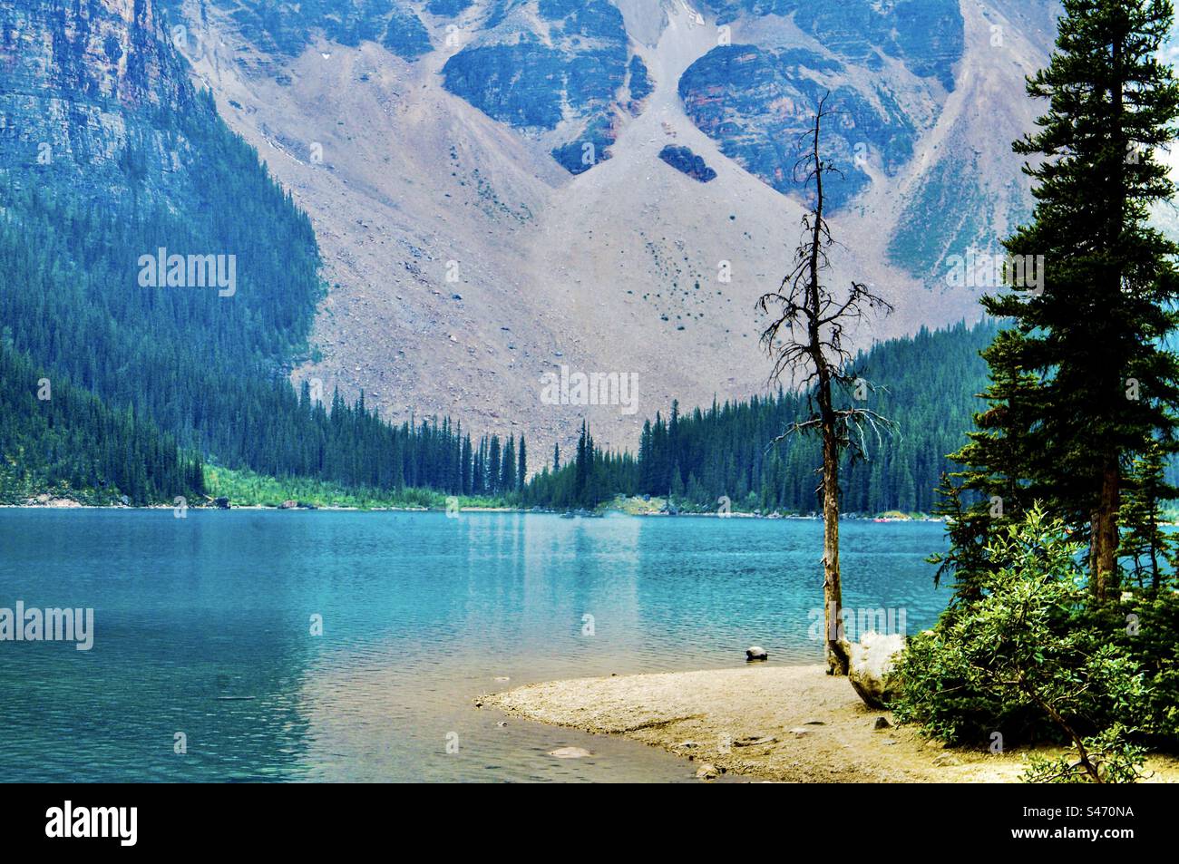 L'incredibile lago Moraine nel Banff National Park, Alberta, Canada. Foto Stock