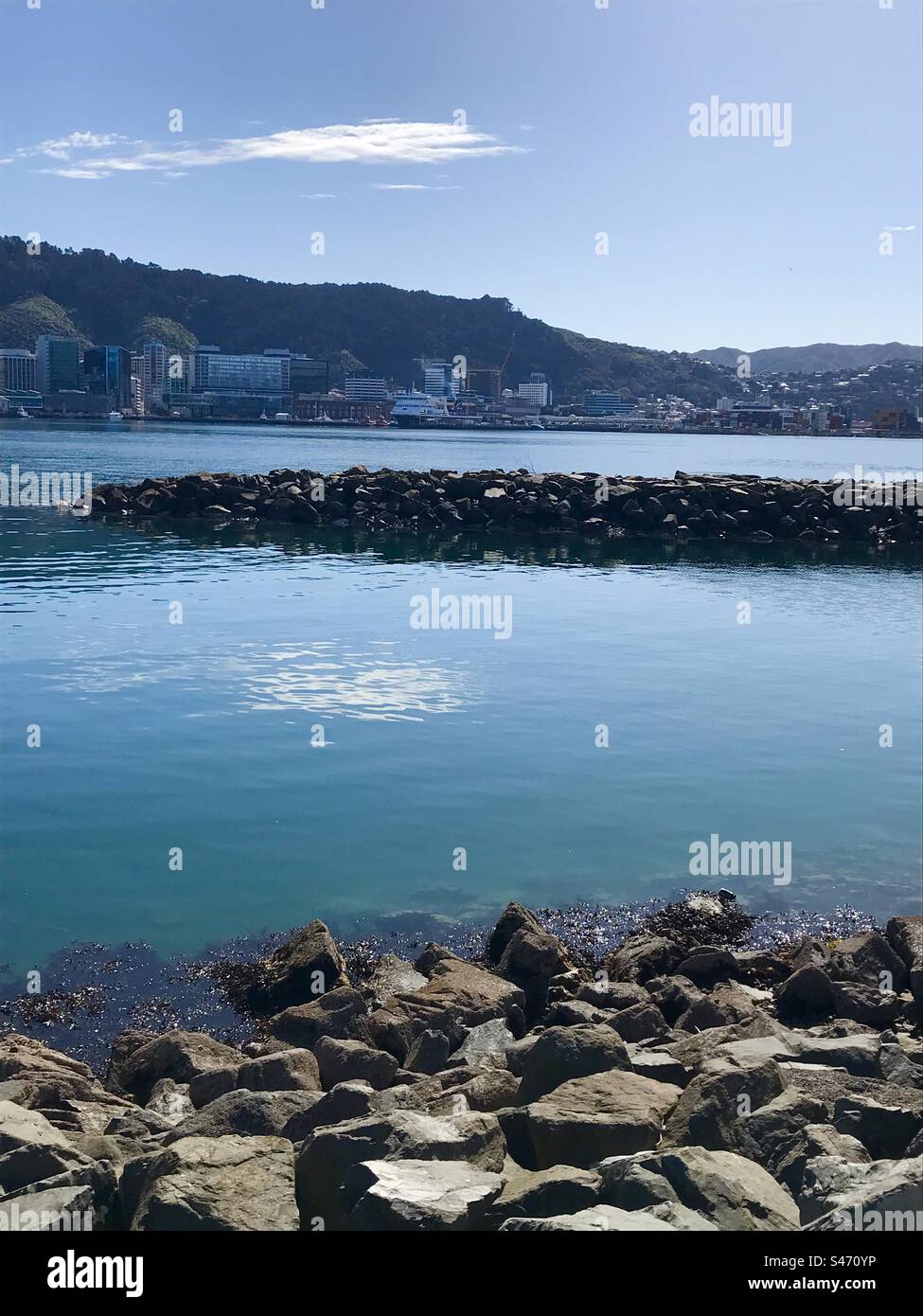 Nuova Zelanda / Aotearoa - fronte mare di Wellington Foto Stock