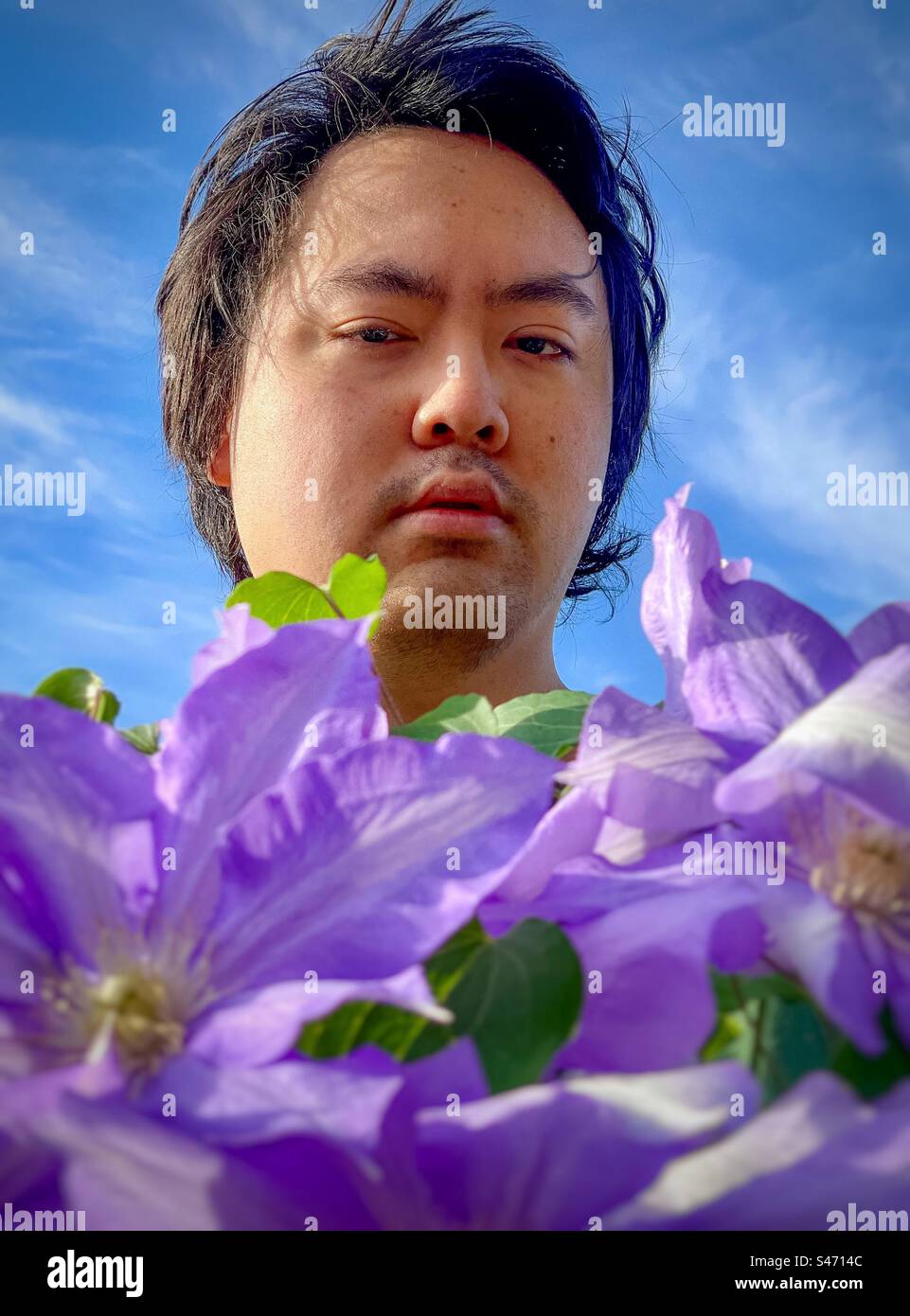 Ritratto ravvicinato di un giovane asiatico dietro una pianta di clematis in fiore viola contro il cielo blu con nuvole volose. Colpo alla testa. Bellezza nella natura - Immagine stock catturata con smartphone