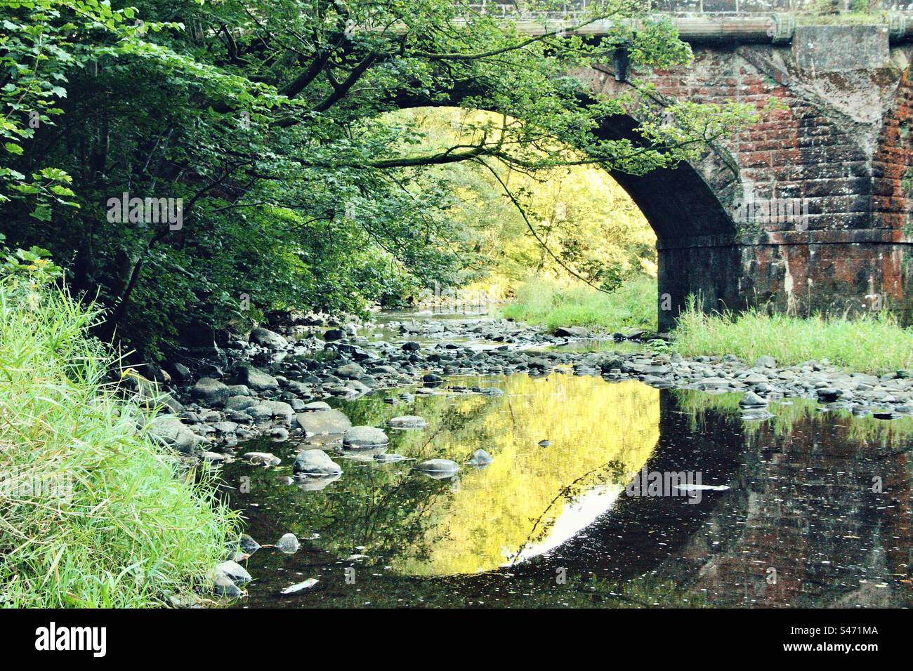 River Ayr Reflections Foto Stock