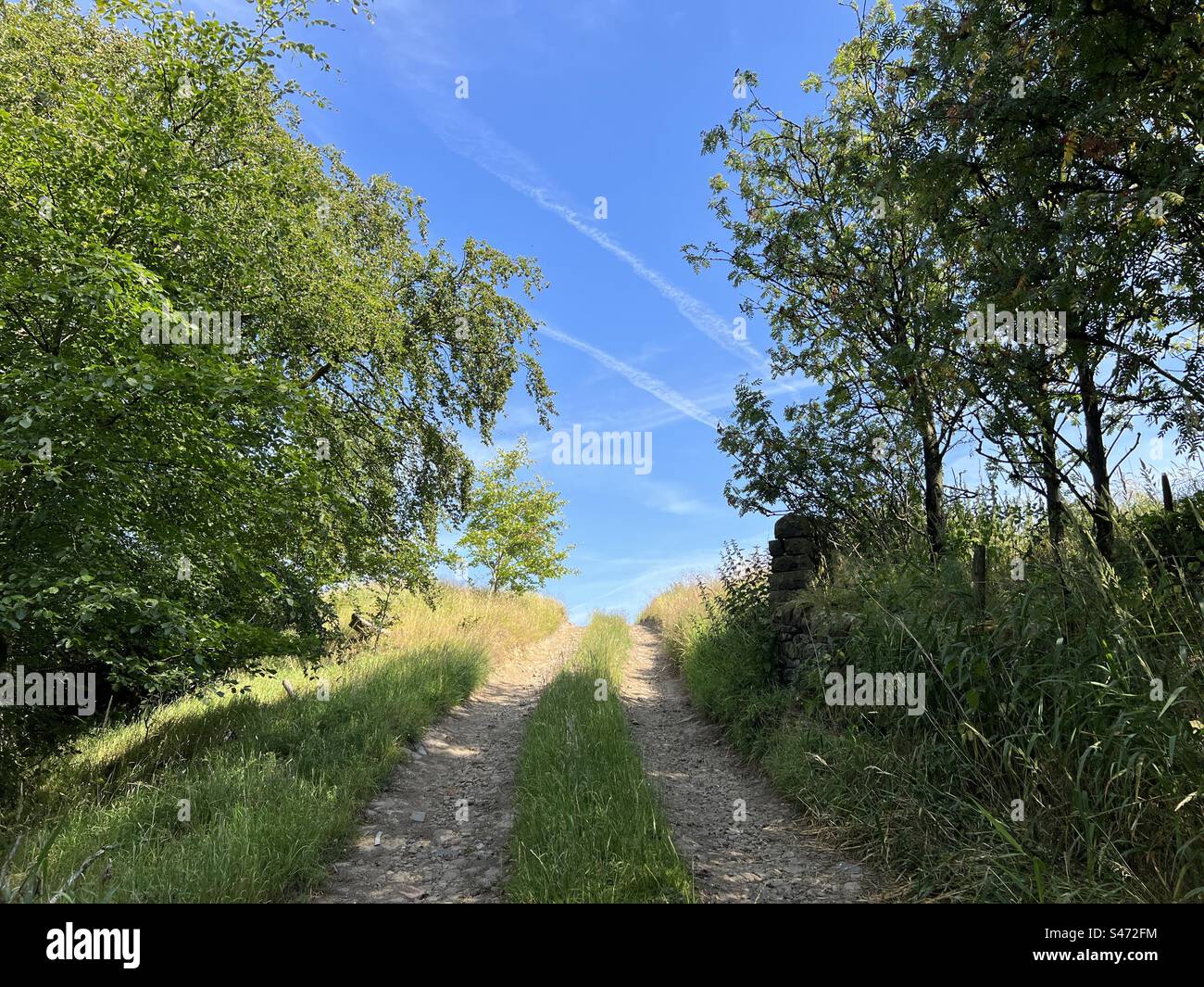 Vecchia pista per carrareccia, che porta oltre l'orizzonte, con alberi e piante selvatiche a Delph, Regno Unito Foto Stock