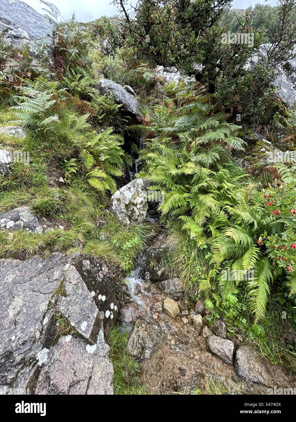 Cascata sul Ben Nevis, vicino a Fort William, Scozia. La montagna più alta del Regno Unito. Attrazione turistica nelle panoramiche Highlands scozzesi. - Immagine stock catturata con smartphone