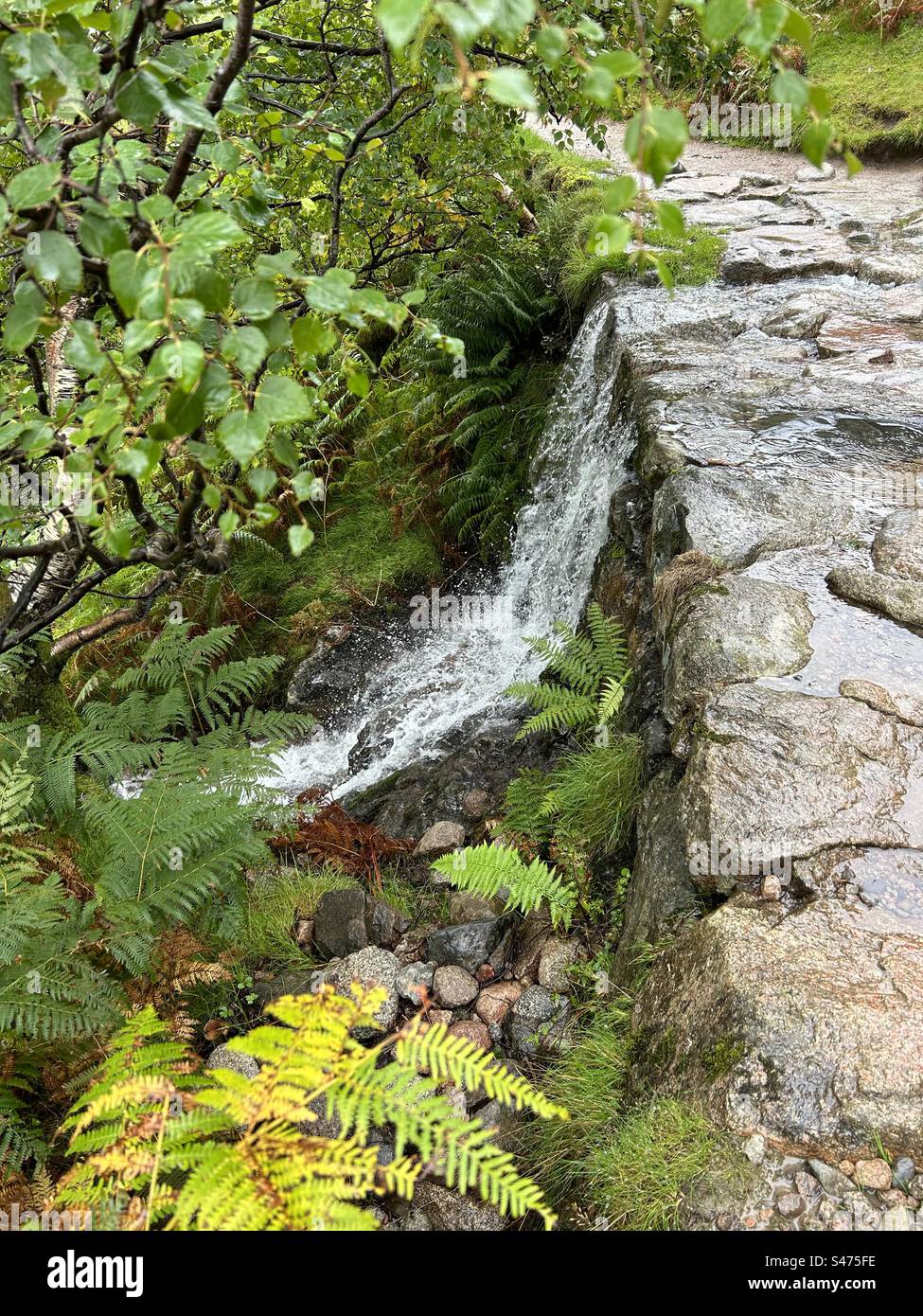 Cascata sul Ben Nevis, vicino a Fort William, Scozia. La montagna più alta del Regno Unito. Attrazione turistica nelle panoramiche Highlands scozzesi. - Immagine stock catturata con smartphone