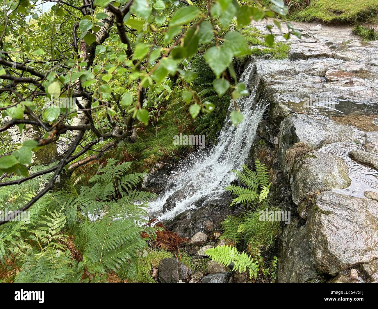 Cascata sul Ben Nevis, vicino a Fort William, Scozia. La montagna più alta del Regno Unito. Attrazione turistica nelle panoramiche Highlands scozzesi. - Immagine stock catturata con smartphone