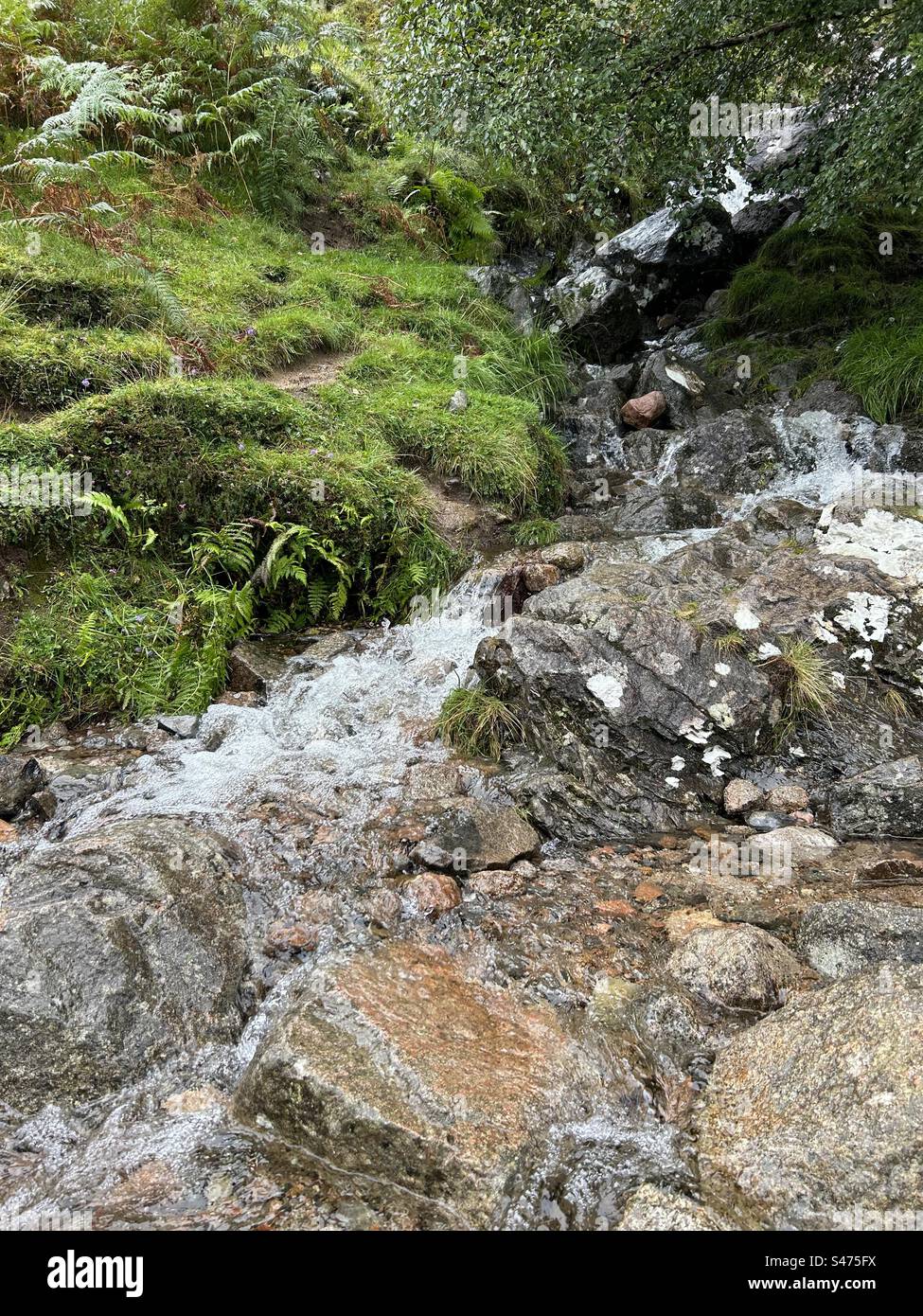 Cascata sul Ben Nevis, vicino a Fort William, Scozia. La montagna più alta del Regno Unito. Attrazione turistica nelle panoramiche Highlands scozzesi. - Immagine stock catturata con smartphone