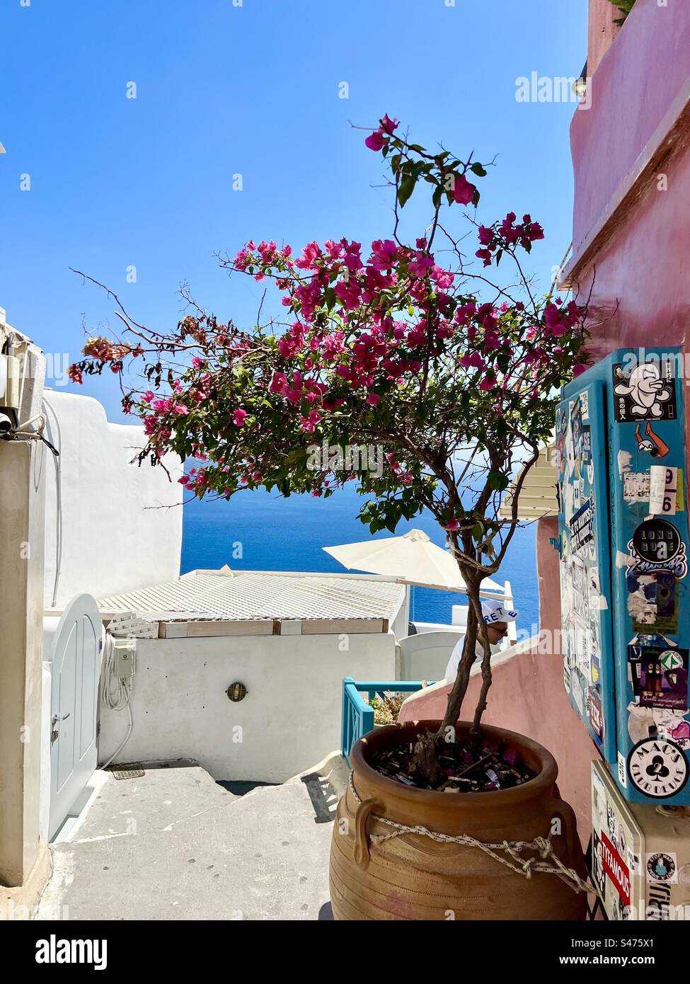 Un piccolo sentiero conduce attraverso edifici e una bouganvillea in vaso da una strada principale di Oia, Santorini, giù verso la caldera e il Mar Egeo sottostante. - Immagine stock catturata con smartphone