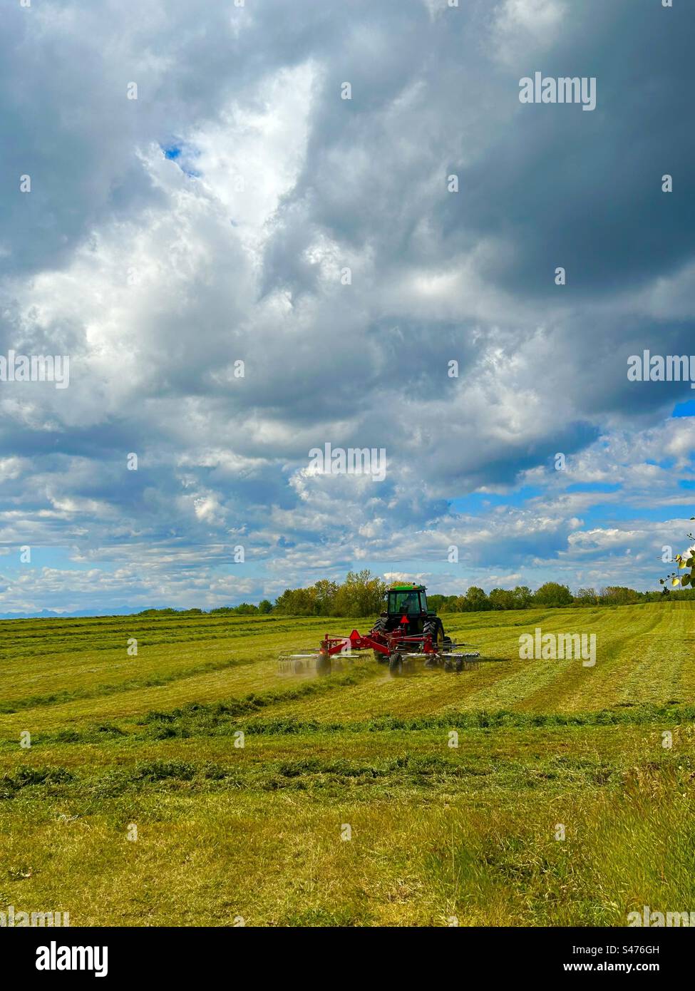 Rastrellare il fieno nell'Alberta meridionale, Canada, agricoltura, coltivazione, agricoltura, macchinari moderni, giorno di sole, che fanno fieno mentre il sole splende Foto Stock